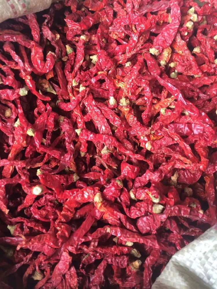 成都干辣椒批发